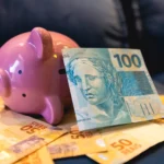 como calcular o décimo terceiro​ - nota de 100 reais encostada em cofre de porquinho rosa deitado em uma mesa